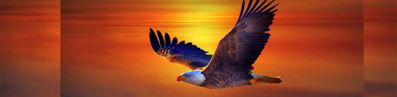 Tượng Đại Bàng