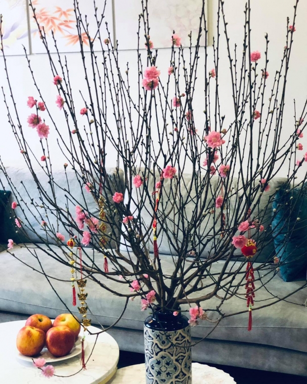 10 loại hoa đẹp nên chưng trong phòng khách ngày Tết để năm mới nhiều may mắn, tài lộc